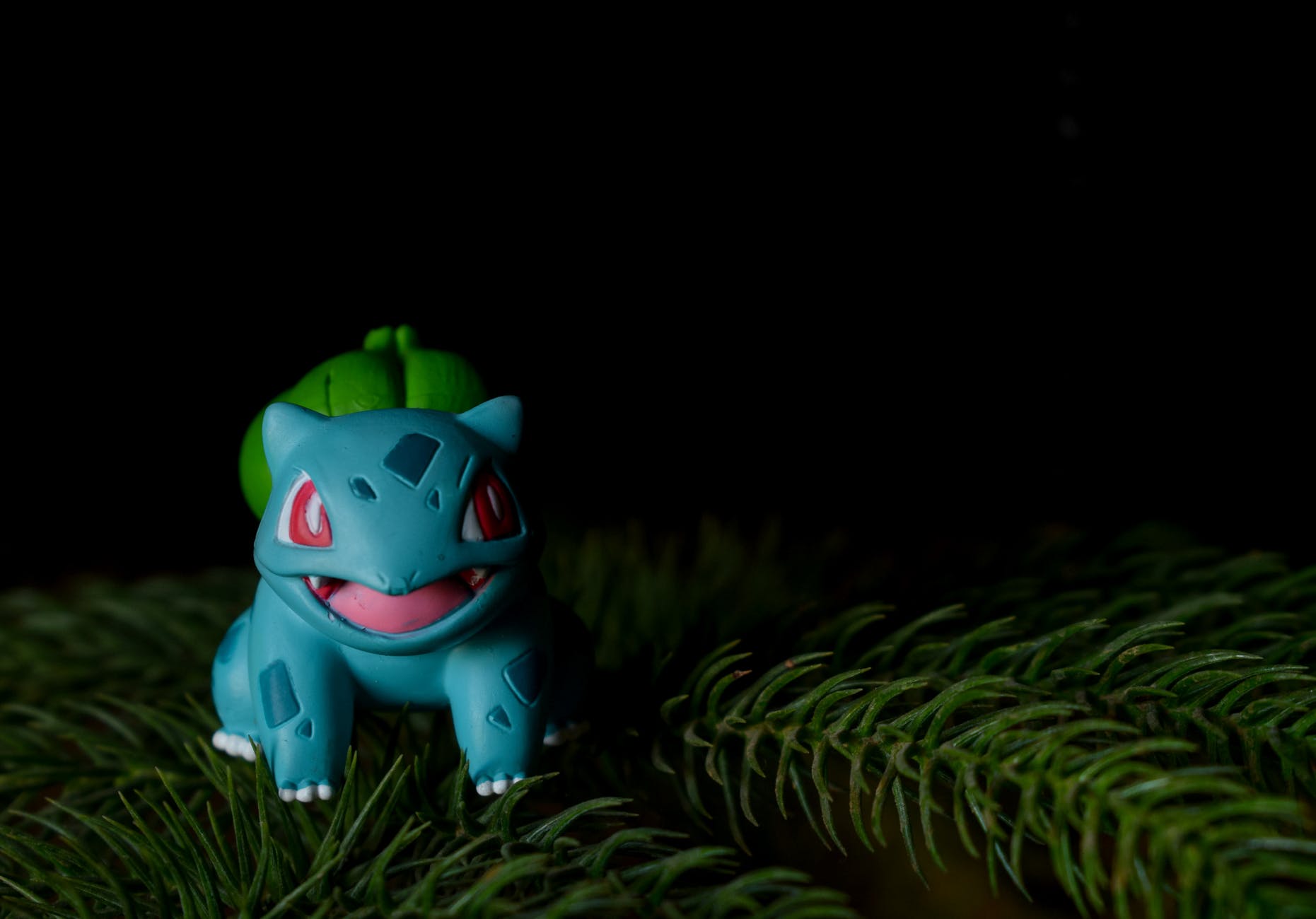 purple frog toy on green grass