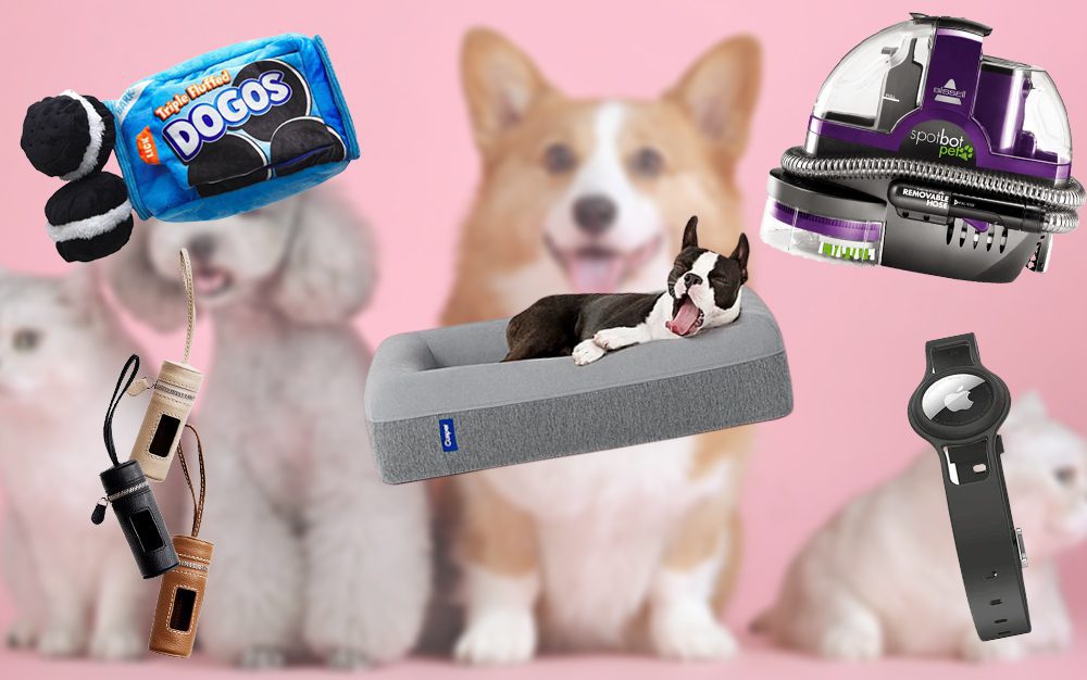 5-great-gifts-to-glam-up-your-pet’s-life