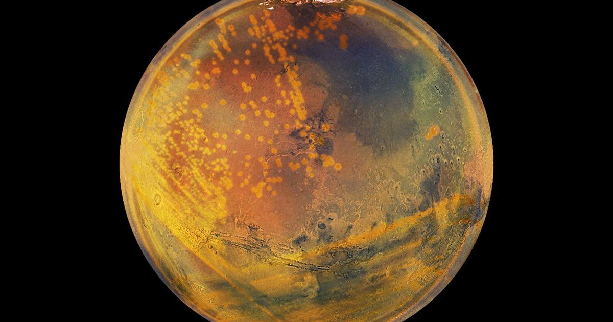 researchers-say-“conan-the-bacterium”-could-be-hidden-beneath-mars’-surface
