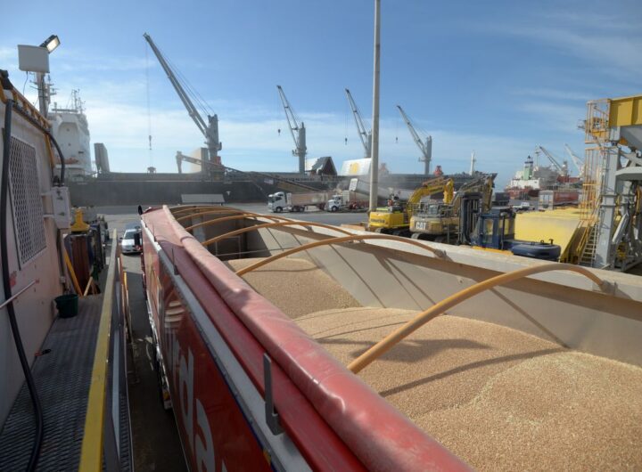 china-buying-more-australian-wheat-than-ever-despite-trade-row