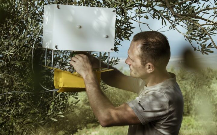 can-an-ai-powered-insect-trap-solve-a-$220-billion-pest-problem?