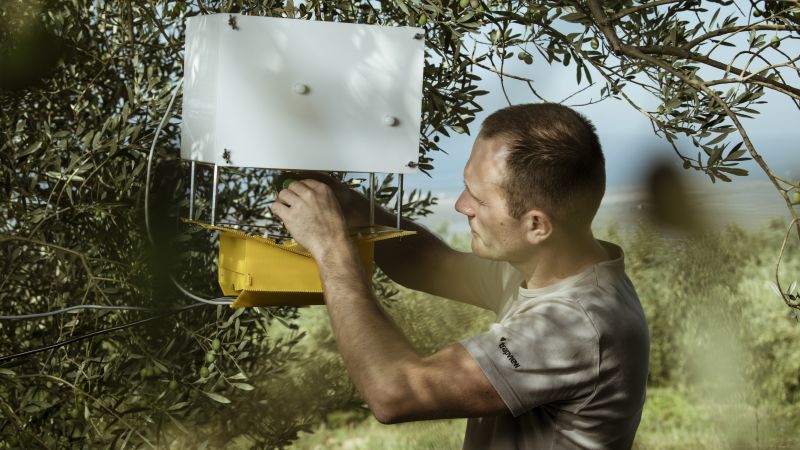 can-an-ai-powered-insect-trap-solve-a-$220-billion-pest-problem?
