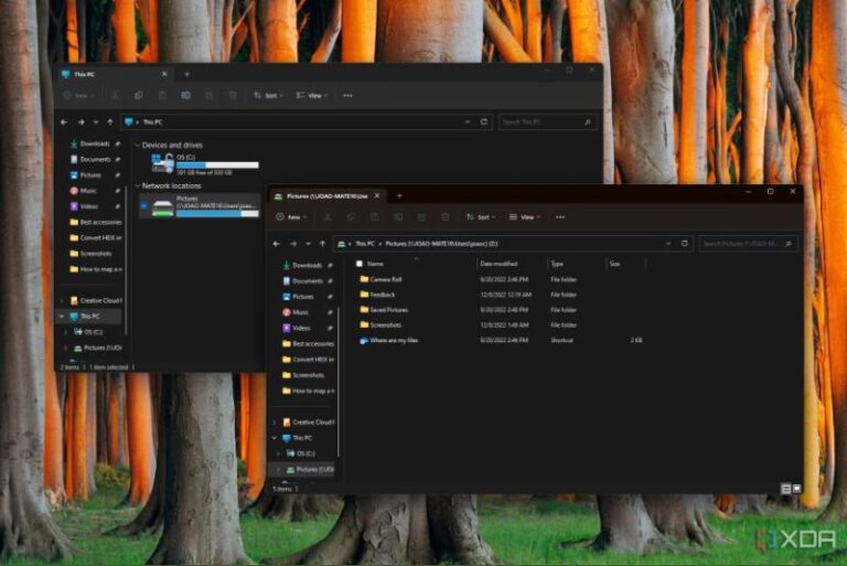 Mapping a Network Drive on Windows - Mapping A Network Drive On Windows 11 A Step By Step Guide 768x513 