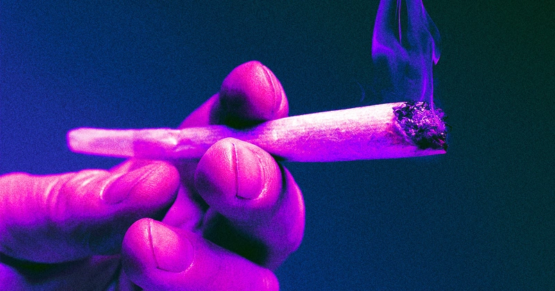 Blazing Consequences: Cannabis and the Risk of Heart Attack and Stroke