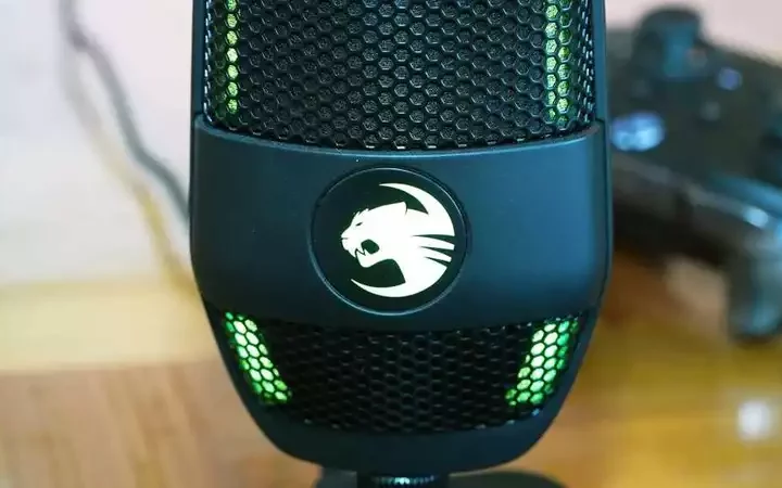 When the Big Fish Swallows the Kitten: The Roccat-Turtle Beach Takeover